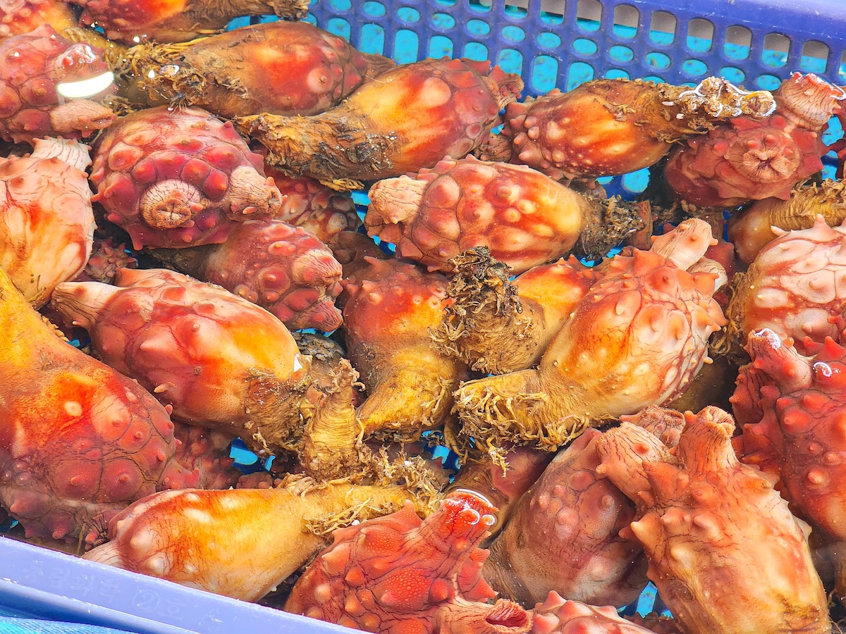 そもそも「ほや」ってどんな味？苦手でもハマる魅力とは