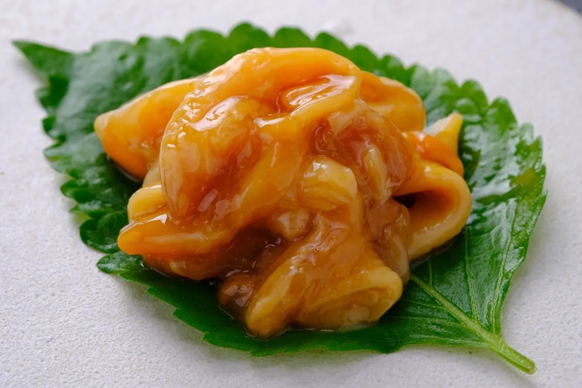 まとめ｜ほやの塩辛は、初めての人にも楽しめる海の珍味