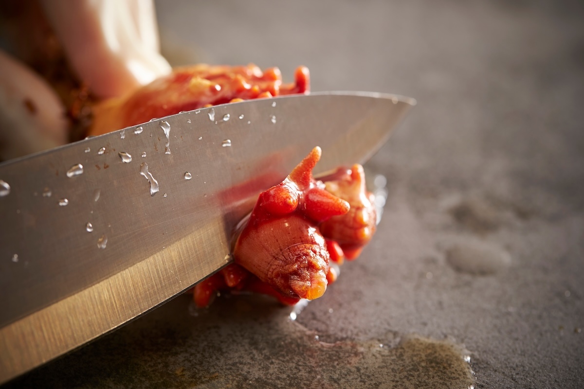 手作り派？お取り寄せ派？ほや塩辛の楽しみ方２タイプ